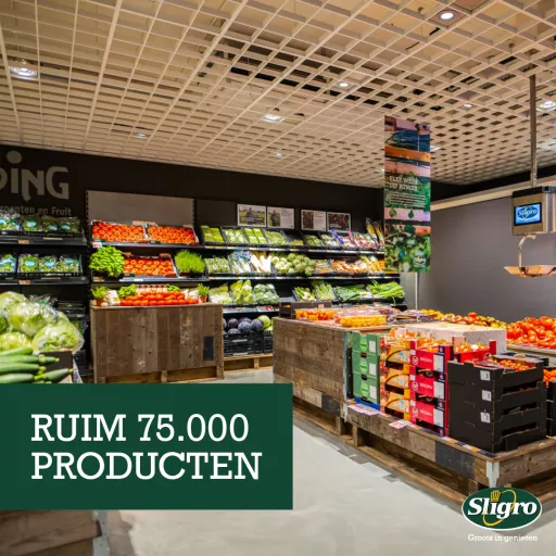 professionals in a store and product displays